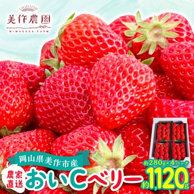 岡山県美作市産　おいCベリー(約280g×4パック)【配送不可地域：離島・北海道・沖縄】【1464411】