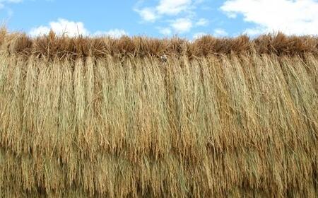 【新米予約】令和７年産「五つ星お米マイスター」厳選　天日干し魚沼産コシヒカリ　精米５kg