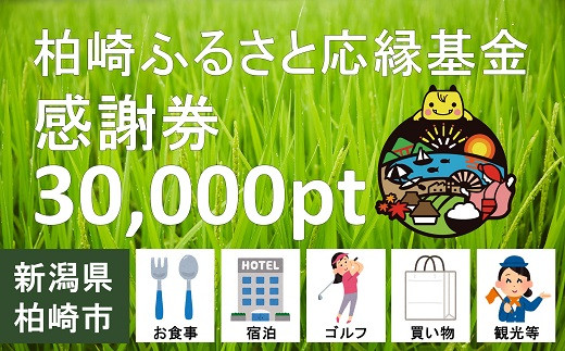 
柏崎ふるさと応縁基金感謝券（30,000pt）[E923]
