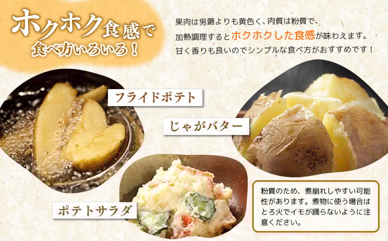 【先行予約】（生産者直送）じゃがいもVIP（キタアカリ）・かぼちゃ1玉セット合計10ｋｇ
