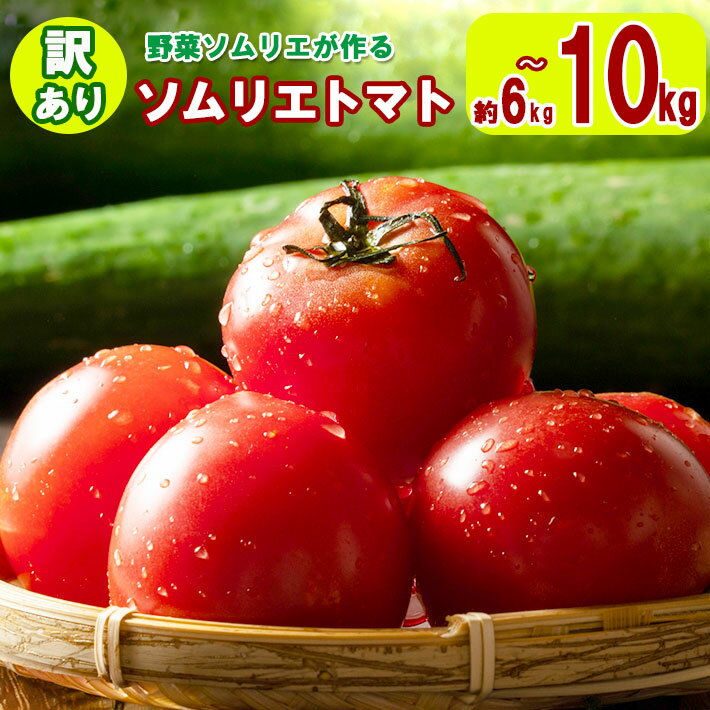 【ふるさと納税】大玉 訳あり ソムリエトマト 約 6kg 〜 10kg (約3kg〜5kg × 2箱) 農家直送 熊本 玉名