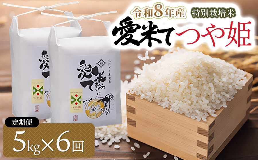 【令和8年産先行予約】【6ヶ月定期便】特別栽培米 つや姫　精米 5kg×6ヶ月　山形県鶴岡市産　愛米て　| 米 こめ コメ 5キロ ブランド米 庄内米 ごはん ご飯 美味しい 国産 おにぎり 農家直送