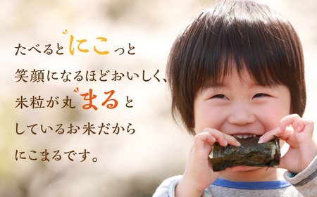 新米 にこまる 5kg 米