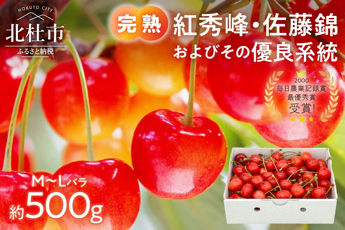 
                  【2026年発送】完熟さくらんぼ（M～Lバラ 約500g）　佐藤錦 紅秀峰 サクランボ チェリー 果物 産地直送 冷蔵 フルーツ 岩原果樹園
                