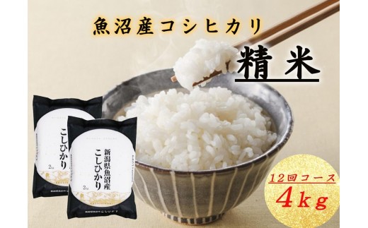 
                  T-15【令和7年産 頒布会】魚沼産コシヒカリ 4kg×全12回米 コメ こしひかり 精米 ブランド米 お取り寄せ 十日町市
                