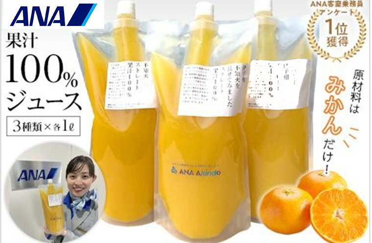 【ふるさと納税】 果汁100％ 愛媛 みかんジュース セット | 柑橘 みかん ジュース ミカン 愛媛県産 松山市 ANA 人気 おすすめ フルーツ 果物