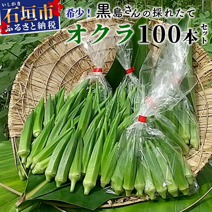 【ふるさと納税】希少！黒島さんの採れたてオクラ100本セット（特別栽培、栽培期間中農薬不使用）3月下旬～順次発送 沖縄県 石垣市 沖縄 石垣 石垣島 希少 おくら オクラ 野菜 採れたて フレッシュな野菜 夏野菜 冬野菜 南国 離島のいいもの 沖縄いいもの石垣島 OI-7