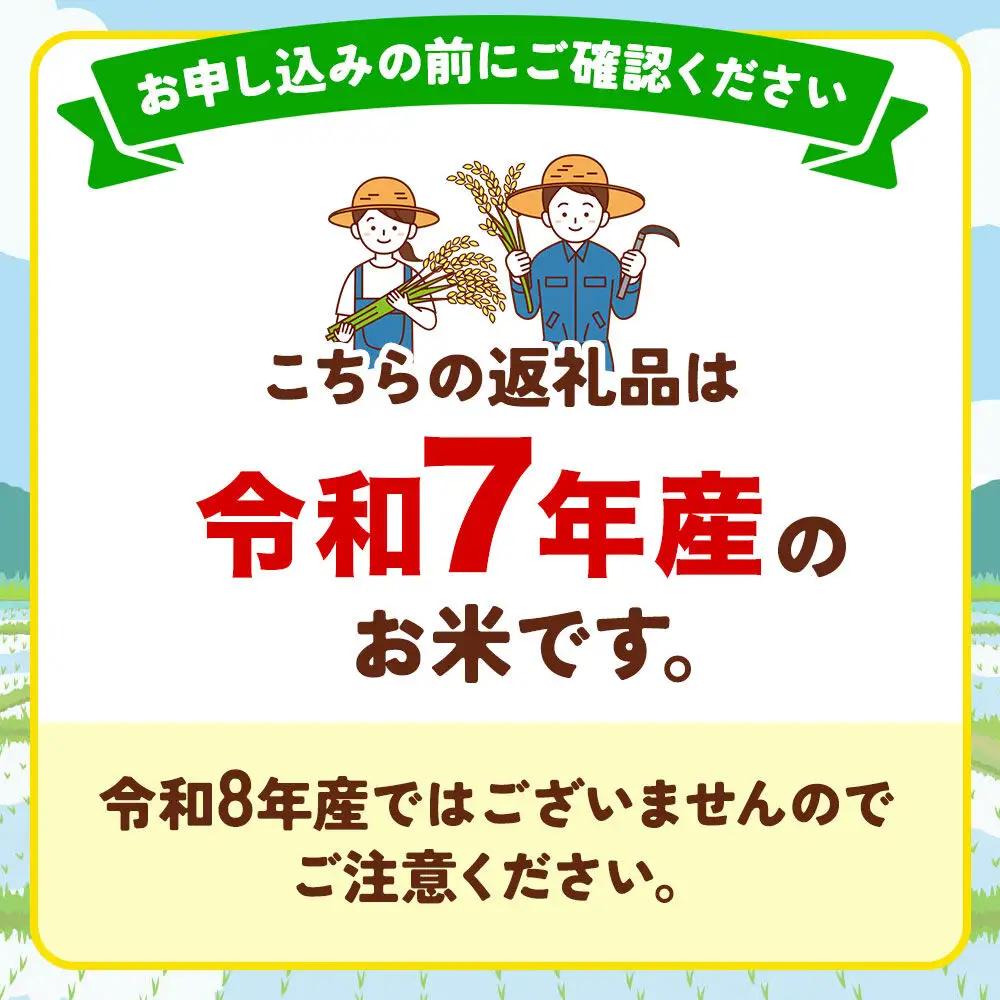 米 極上秋田年貢米 あきたこまち 能代山本地域 5kg 令和7年産 秋田県産