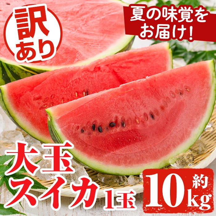訳あり！鹿児島県産 大玉スイカ(1玉・約10kg) 国産 果物 スイカ すいか 西瓜 フルーツ スイーツ スムージー ジュース【松永青果】akn053-21
