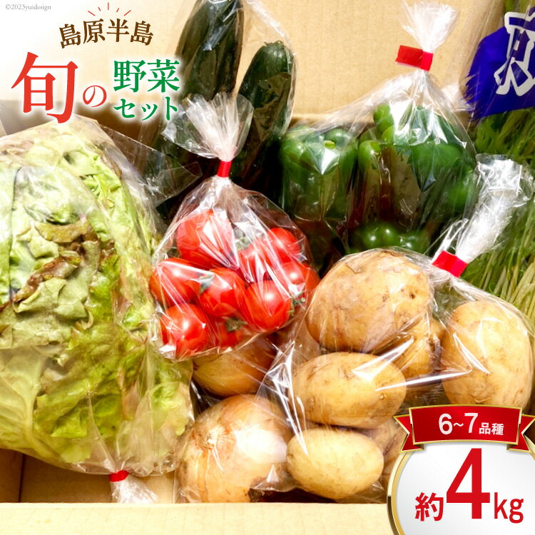 【ふるさと納税】島原半島の旬の野菜 セット 6〜7品種 約4kg [まるまさ 長崎県 雲仙市 item2205] 野菜 やさい 旬 詰め合わせ 食べ比べ 期間限定