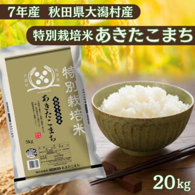 ふるさと納税 大潟村 あきたこまち20kg　秋田県産特別栽培米　5kg×4袋　大潟村のお米【令和7年産】精米