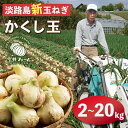 【ふるさと納税】【新たまねぎ】今井ファームの淡路島たまねぎ「かくし玉」 2kg～20kg【発送時期：2025年4月下旬〜5月頃】