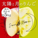 【ふるさと納税】 青森りんご ぐんま名月 サンふじ 月と太陽のりんご詰め合わせ 約5kg 【泉山果樹園】 サン ムーン リンゴ 林檎 アップル あおもり 青森 青森県 南部町 三戸 南部 果物 くだもの フルーツ F21U-065