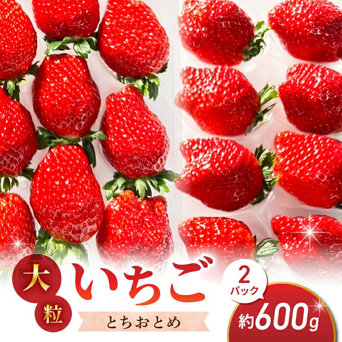 【ふるさと納税】大粒！田口さんのいちご（とちおとめ）2パック（600g）贈答用｜信州ファーム田口 完熟 食べ比べ 苺 イチゴ フルーツ 安心 土耕栽培※2027年1月上旬以降発送予定