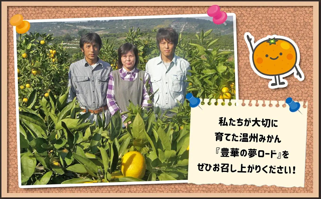 ≪家庭用≫こだわりみかん 5kg |  豊華の夢ロード