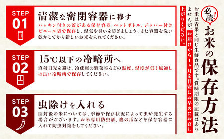 【令和7年度】【6回定期便】 限定品 えびの産 ヒノヒカリ 真幸米(まさきまい) 10kg×6ヶ月 米 ひのひかり お米 精米 白米 宮崎県産 九州産 送料無料 こめ おにぎり お弁当
