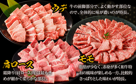 宮崎牛赤身霜降り焼肉　計800g ウデ肉 もも肉 肩ロース