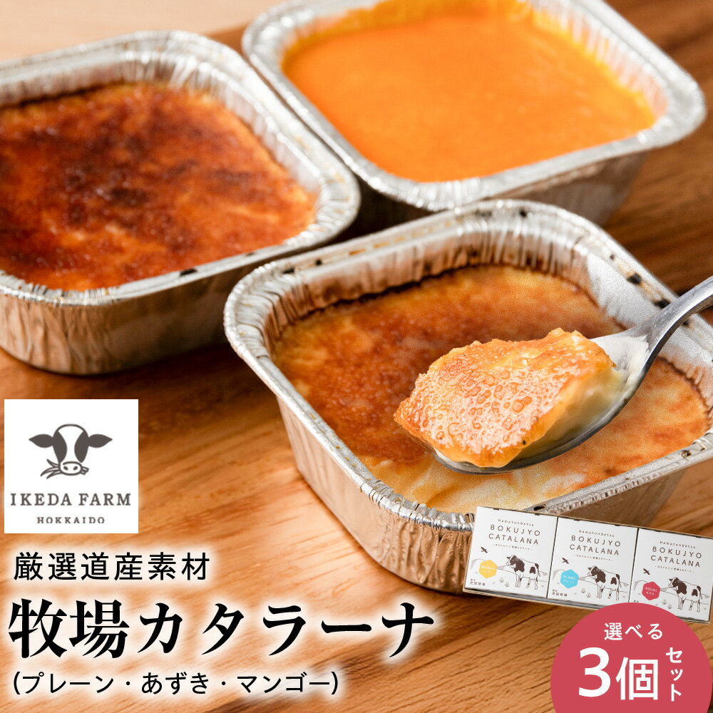 【ふるさと納税】 北海道 お菓子 カタラーナ 選べる プレーン（3個セット）・3種セット （ プレーン あずき マンゴー ） アイス 冷凍 ギフト 箱入り 北海道ふるさと納税 ふるさと納税 北海道 浜頓別 通販 贈答品 贈り物 夏ギフト