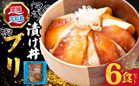海鮮丼 漬け丼 ブリ 6食セット 南予ビージョイ 海鮮丼 愛媛 宇和島 D010-150023