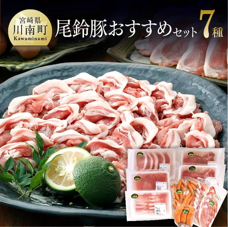 尾鈴豚おすすめセット 【 肉 豚肉 国産豚肉 九州産豚肉 宮崎県産豚肉 ロース バラ 加工品 豚肉詰合せ 】