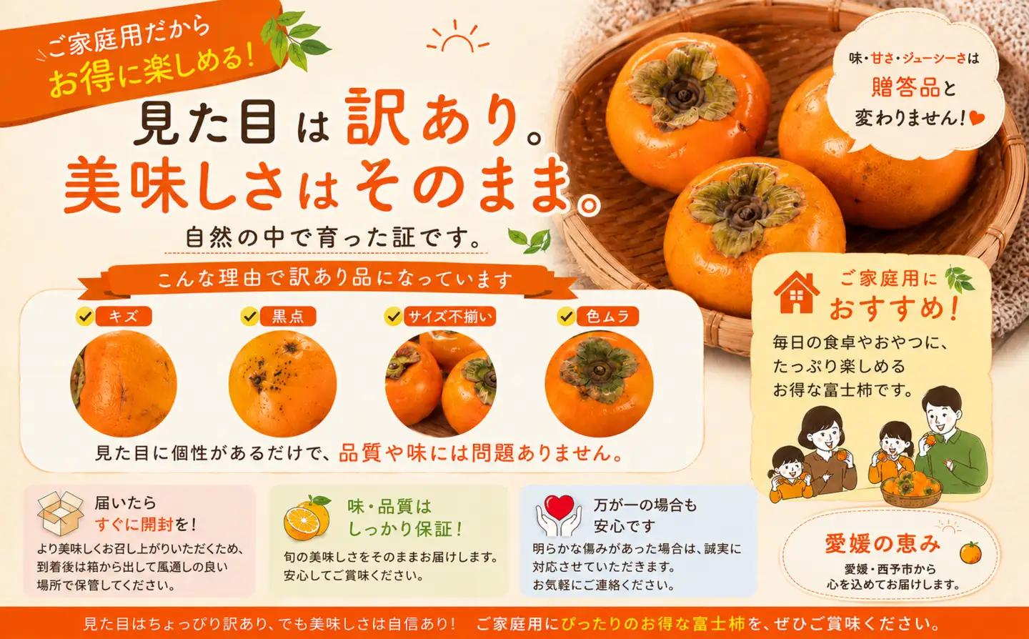 ＜訳あり 愛媛県産富士柿 合計約7kg＞『2026年11月上旬～12月下旬迄に順次出荷予定』かき 柿 ふじ柿 果物 くだもの フルーツ 旬 大玉 大きいサイズ 濃厚 秋の味覚 食べ応え抜群 特産品 株