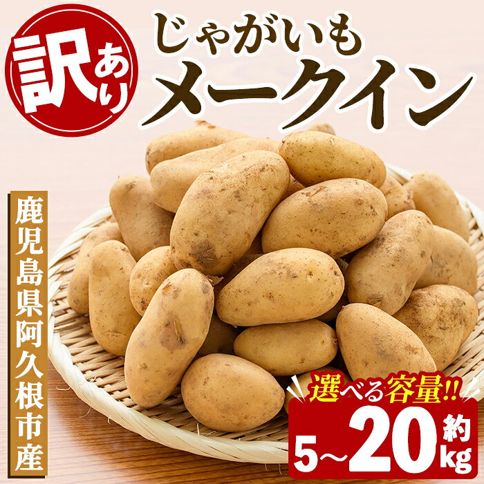 【ふるさと納税】＜先行予約受付中！2027年5月下旬以降順次発送予定＞ ＜内容量が選べる！＞訳あり！じゃがいも「メークイン」(約5〜20kg) じゃがいも ジャガイモ 芋 国産 野菜 期間限定 数量限定 肉じゃが ポテトサラダ カレー シチュー 【古田果樹園】