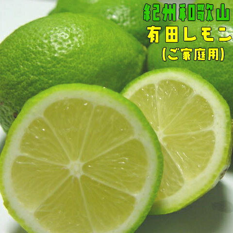 【ふるさと納税】 紀州和歌山 ご家庭用 有田レモン 約3kg【防腐剤・ワックス不使用】【農家直送】【訳あり】 ※着日指定不可 ※9月下旬〜1月下旬頃に順次発送