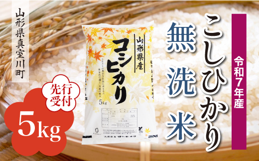 ＜令和7年産米先行受付＞ 真室川町産 こしひかり 【無洗米】5kg （5kg×1袋）＜配送時期指定可＞