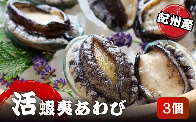 やわコリ食感紀州の蝦夷アワビ 【3個入】  ※北海道・沖縄・離島への配送不可 / 鮑 アワビ あわび 人気 活アワビ 冷蔵【yas001】