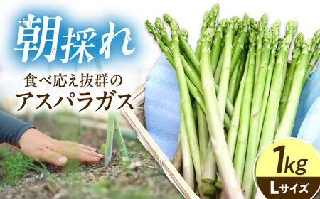 アスパラガス 1kg [BAHB001] アスパラガス 