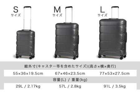 [Proevo]  13001-3 Lite Frex 超軽量ファスナーキャリーM AY383 スーツケース 超軽量 3kg以下 キャリーケース キャリーバッグ 耐衝撃 中型 薄型 静音 ダブルキャス