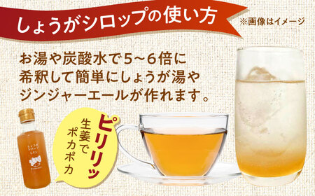 しょうがシロップ レモン 約235g×5本 セット【ジンジベル】[AYAD009]