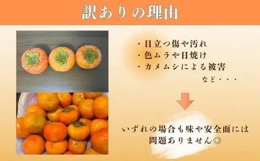 【先行予約】岐阜県瑞穂市産 訳あり富有柿 2.5kg | 柿 富有柿 ※2026年11月～発送