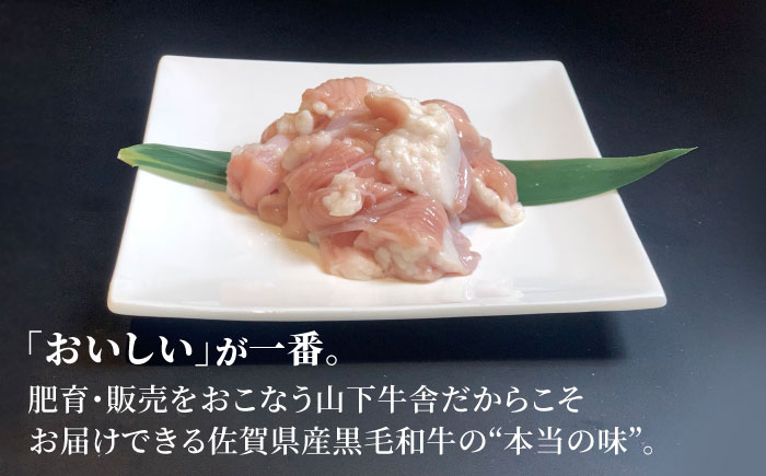 【甘みたっぷりプリプリ食感】佐賀県産黒毛和牛 ホルモン 500g【山下牛舎】 [HAD108]