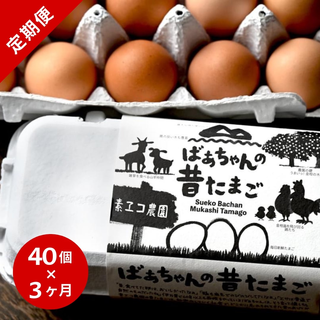 【3回定期便】平飼いで のびのび！ばあちゃんの昔たまご 40個/月 割れ保証あり 999-B618