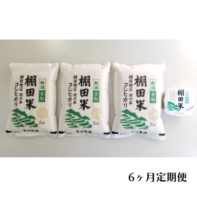 ふるさと納税 村上市 【毎月定期便】棚田米コシヒカリ(精米) 6kg+パックごはん 1個 [115]全6回