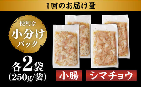 【全12回定期便】【塩だれ味】 九州産和牛 ホルモン 2種 計1kg（ シマチョウ 250g×2袋・ 小腸 250g×2袋） 長与町/岩永ホルモン [EAX149] ホルモン 小腸 ホルモン シマチョ