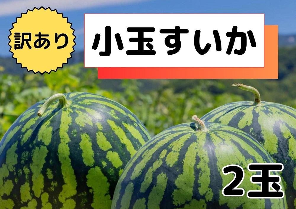 
            【わけあり品】八色原すいか小玉２玉
          