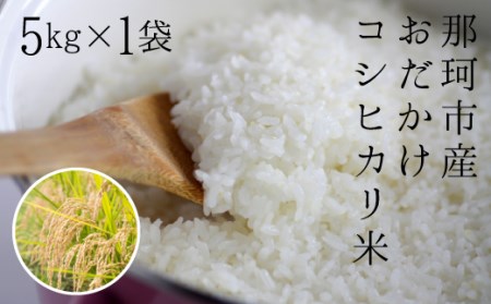 令和7年度産 那珂市産 おだかけコシヒカリ米 5kg 米 お米 白米 こめ 精米 取り寄せ 特産 ごはん ご飯 コメ お取り寄せ ギフト 贈り物 お弁当 弁当 おにぎり ふっくら ツヤツヤ 甘い 農家直送 産地直送 国産 茨城県産 AC-2
