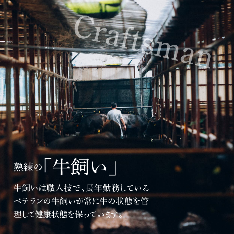 ＜木城白木八重牧場育ちの黒毛和牛厳選焼肉 600ℊ＞ K20_0012_3