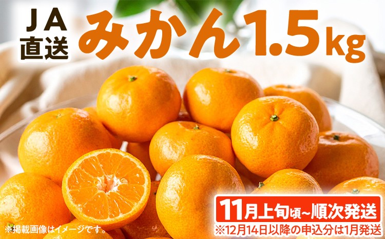 
                  期間限定 みかん フルーツ 果物 くだもの 1.5kg 柑橘 甘い 濃厚 ジューシー 産地直送 デザート おやつ オレンジ 福岡県 福岡 九州 グルメ お取り寄せ 【11月上旬頃から順次発送】
                