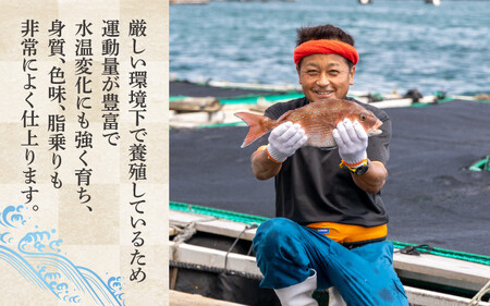 [041-a005] 敦賀真鯛の南蛮漬け 計300g 
