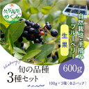 【ふるさと納税】【先行予約】農園直送 手摘み 生果 品種おまかせ ブルーベリー 100g×3種×2パック 計6パック 食べ比べ ※北海道・沖縄・離島への配送不可 ※2025年7月上旬～8月下旬頃に順次発送予定