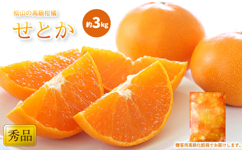 
            【2月中旬から発送】 せとか ＜ 秀品 ＞ 約3kg 贈答用高級化粧箱入り | みかん せとか 柑橘 みかん 3kg 化粧箱入りみかん 贈答みかん おすすめ  秀品みかん せとか 松山市産せとか 柑橘みかん 愛媛県産みかん おすすめのせとか 贈答用せとか 贈答用みかん Ｋｏｋｏ’ｏのみかん 柑橘 みかん せとか ミカン セトカ おすすめみかん 松山市産みかん 秀品みかん 人気のみかん 
          