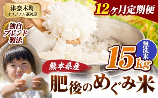 【12ヶ月定期便】無洗米 熊本県産 ブレンド米 肥後のめぐみ米 15kg 熊本県産 ふるさと納税 精米 米 こめ ふるさとのうぜい コメ お米 おこめ《お申込み翌月から出荷》