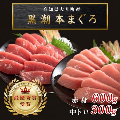 ふるさと納税 大月町 【高知県産 養殖本マグロ】900g(中トロ300g 赤身600g)小分け柵 急速冷凍