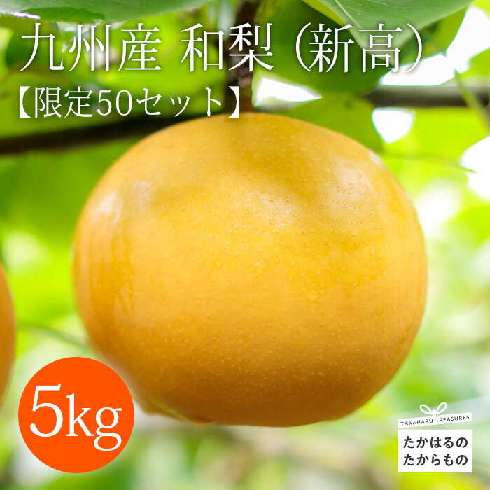 【ふるさと納税】限定50組 令和7年産 先行受付 9月下旬 産直 九州産 梨「新高(にいたか)」 5kg フルーツ 滑らか食感 すっきりとさわやかな甘さジューシー 果物 果汁たっぷり みずみずしい 贈答 ギフト 贈り物 宮崎県高原町産 ナシ なし 送料無料 故郷納税 14000円 1万円台