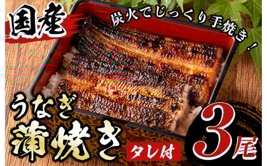 A01 国産！うなぎ蒲焼き(3尾・タレ付き) 国産 九州産 鹿児島県 宮崎県 鰻 ウナギ unagi うな重 うな丼 ひつまぶし うなじゅう 蒲焼 かばやき 無頭 魚 魚介類 土用 丑の日 タレ タレ付 おかず 惣菜 冷蔵 特産品 お土産 ギフト プレゼント ご贈答 真空パック 湯煎 レンジ 簡単調理 内容量選べる 尾数選べる えらべる 【尾方屋】