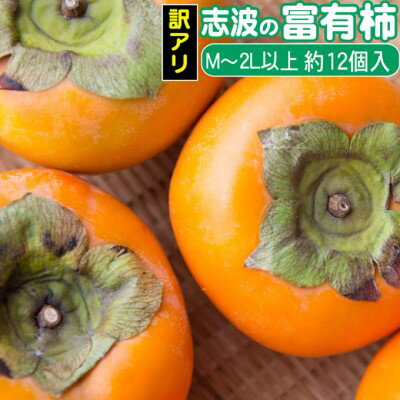 【ふるさと納税】2024年先行予約 志波の富有柿 家庭用 M～2Lサイズ×約12個入※配送不可：離島 果物 フルーツ 秋の味覚 おやつ デザート 産地直送 ブランド 柿の王様 福岡県産 朝倉市産 　お届け：2025年11月20日～12月25日