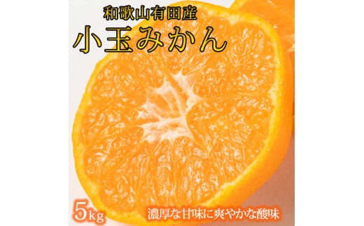 
                  有田の小粒みかん5kg　(S～3Sサイズ混合) ※2026年11月下旬～2027年1月下旬頃に順次発送予定 / みかん ミカン 蜜柑 温州みかん 柑橘 フルーツ 果物 くだもの 和歌山【uot845】 
                